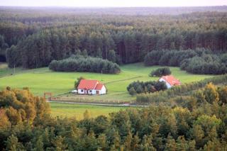 Dom pod Dziką Gruszą - 0