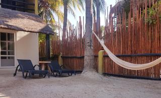 Amaite Holbox - Oceanfront Hotel - Holbox - 3