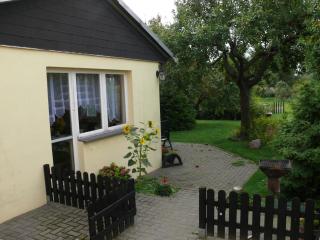 Ferienhaus am Schilfgürtel - Röbel - 9
