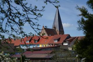 Ferienhaus am Schilfgürtel - Röbel - 5