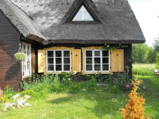 Rukkilille Holiday Home - 5