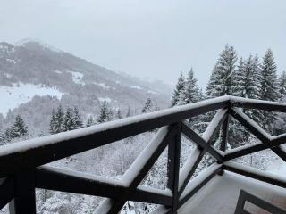 Apartment A13 Kopaonik - 1