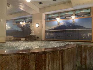 Funabashi Grand Sauna and Capsule Hotel - Funabashi - 5