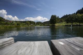 Der Dorfwirt - Rechberg - 5