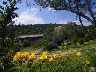 B&B Casa per ferie VillaggioCarovana - Castiadas - 8