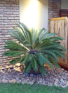 Alkantmooi Private Nature Reserve - Keursee - 1