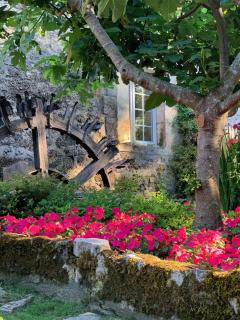 Le Moulin du Roc - Brantôme - 8