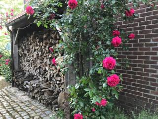 B&B Het Welthof - Bree - 8