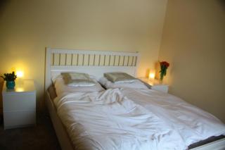 Ferienwohnung Thann - 5
