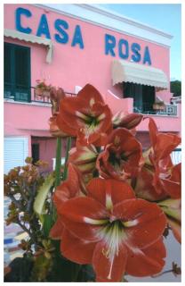 Hotel Casa Rosa Sea & Spa - Ischia - 5