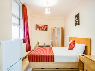 Lovely Studio in London with Patio - Londra - 5