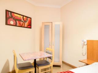 Lovely Studio in London with Patio - Londra - 4