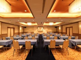Garden hotel Shiunkaku Higashimatsuyama / Vacation STAY 77479 - Higashimatsuyama - 5