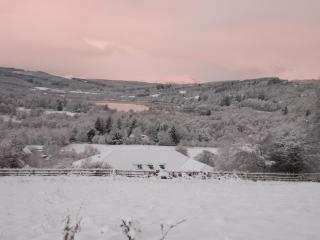Torcroft Lodges - 3