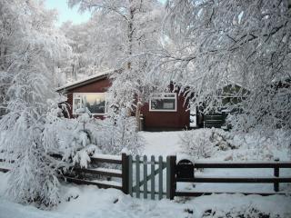 Torcroft Lodges - 1