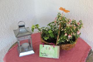 Ferienwohnungen Winkler - 7