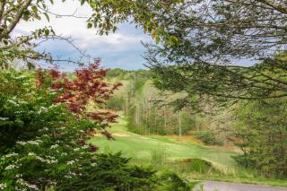 Alpine Retreat - Helen - 8
