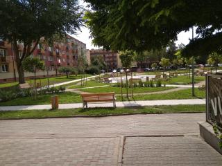 APARTAMENT PRZY PARKU NOCLEGI PŁOCK - Płock - 7