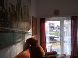 APARTAMENT PRZY PARKU NOCLEGI PŁOCK - Płock - 8