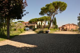 La Loggia - Villa Gloria -Adults Only - Quercegrossa - 7