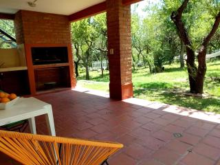 Dorado del Sol - Merlo - 1