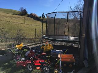 3,5 Zimmerferienwohnung Schwalbenäscht Rüeggisberg - Rüeggisberg - 6