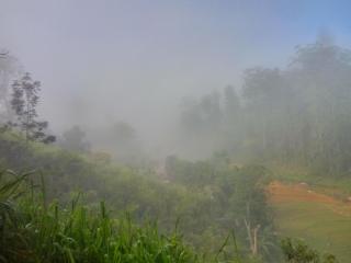 Isuru Homestay - Ella - 8