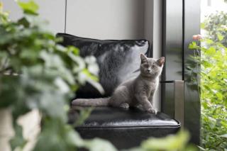 Urban Rosa Cafe&Inn - 6