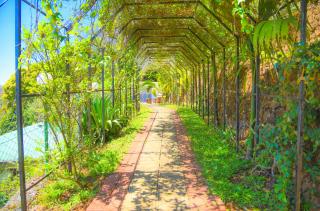 Theeram Agro Farm Hill Resort Pool Villa Vagamon - 3