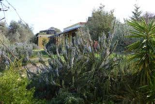 B&B Casa per ferie VillaggioCarovana - Castiadas - 9