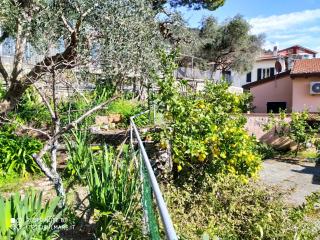 I Tetti Sul Mare - 2