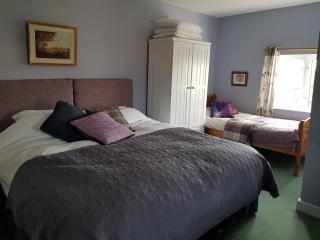 Annaharvey Farm B&B - Tullamore - 3
