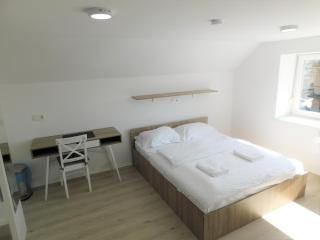 Evi Rooms Ljubljana - 3