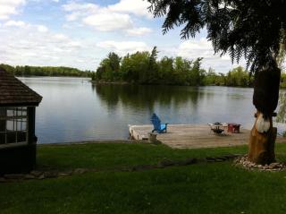 Windswept on the Trent - Campbellford - 9
