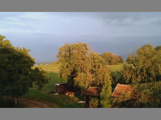 Ferienwohnung ChiemseeZeit :-) - Familie Lechermann - Gstadt am Chiemsee - 1
