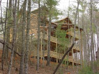 Cherokee Dream Mountain Lodge - Epworth - 9