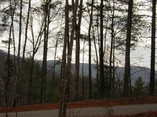 Cherokee Dream Mountain Lodge - Epworth - 7