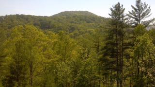 Cherokee Dream Mountain Lodge - Epworth - 5