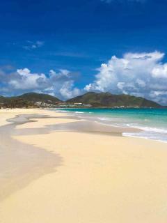 Princess Mahault - Beachfront - Orient bay - luxury apartment - Orient Bay - 8