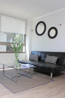 Apart Hotel Providencia - 1