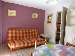 Gites de la Garenne - Nérac - 6
