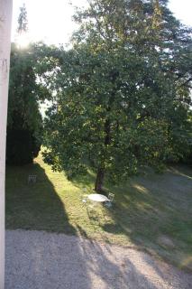 Château La Violette - 1