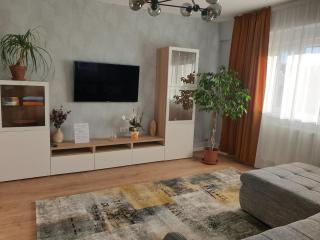 City Apartment Cipariu - Cluj-Napoca - 7