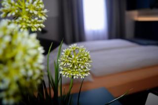 Pension Elisabeth - Rooms & Apartments - Salzburg - 5