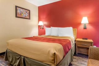 Rodeway Inn - Jeffersonville - 6