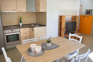 Apartment Olive Garden - Novalja - 0