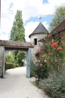 Manoir de la Foulquetiere - Luçay-le-Mâle - 9