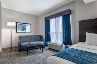 Comfort Suites McDonough Atlanta South - 5