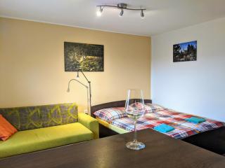 Ubytování ve Vinařství Medek | Medek House & Winery - Uherské Hradiště - 9