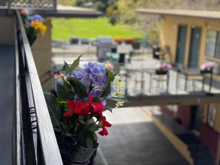 Westwind Lodge - Oakland - 4